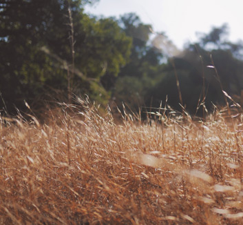 匈牙利对决波黑：一场关乎荣耀与未来的硬仗，谁能笑到最后？