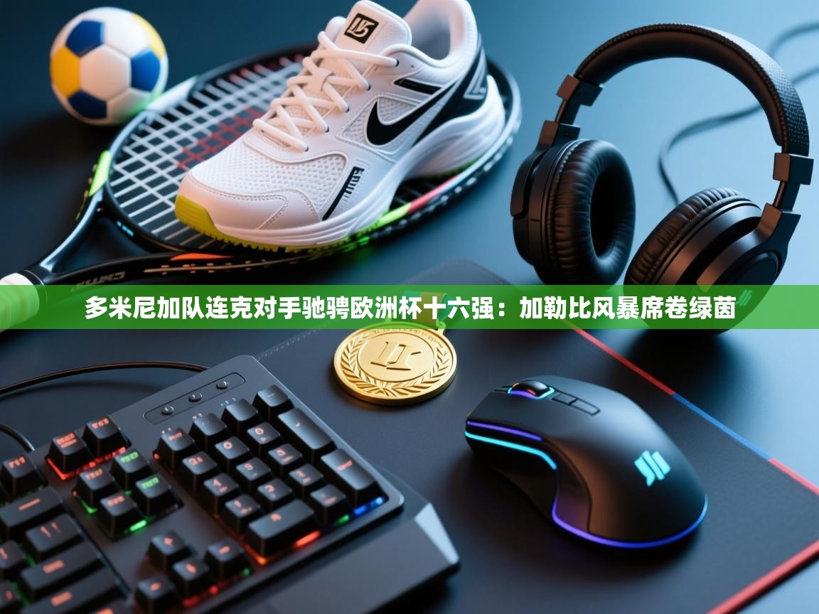 多米尼加队连克对手驰骋欧洲杯十六强：加勒比风暴席卷绿茵